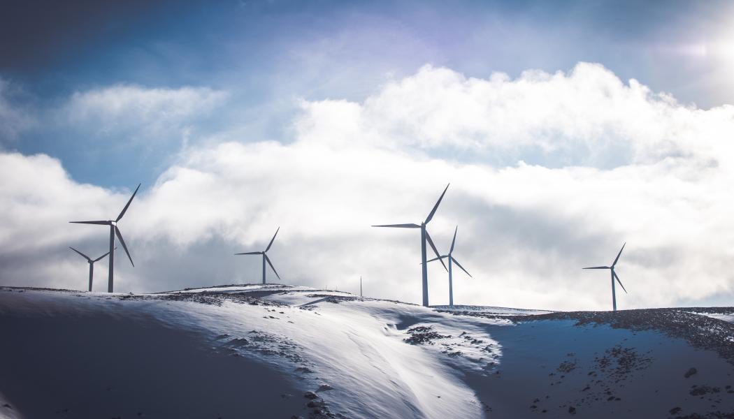 Foto: Jason Blackeye/Unsplash