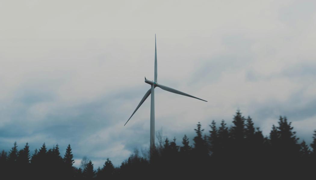 Foto:  Marten Bjork / Unsplash