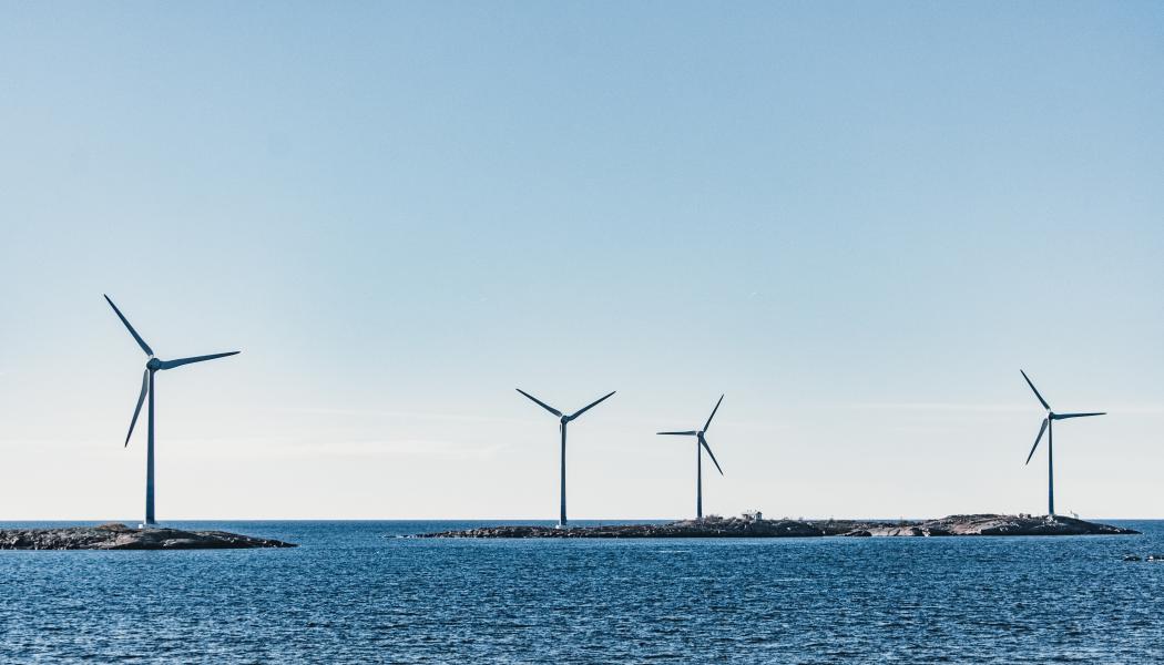 Foto: Mary Ray/Unsplash