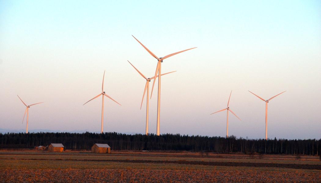 Vindkraften har pressat elpriserna i Finland, men flera projekt visar nu stora förluster. Arkivbild från Kalajoki. Foto: Wikipedia Commons LIc. Kredit: Istas~fiwiki
