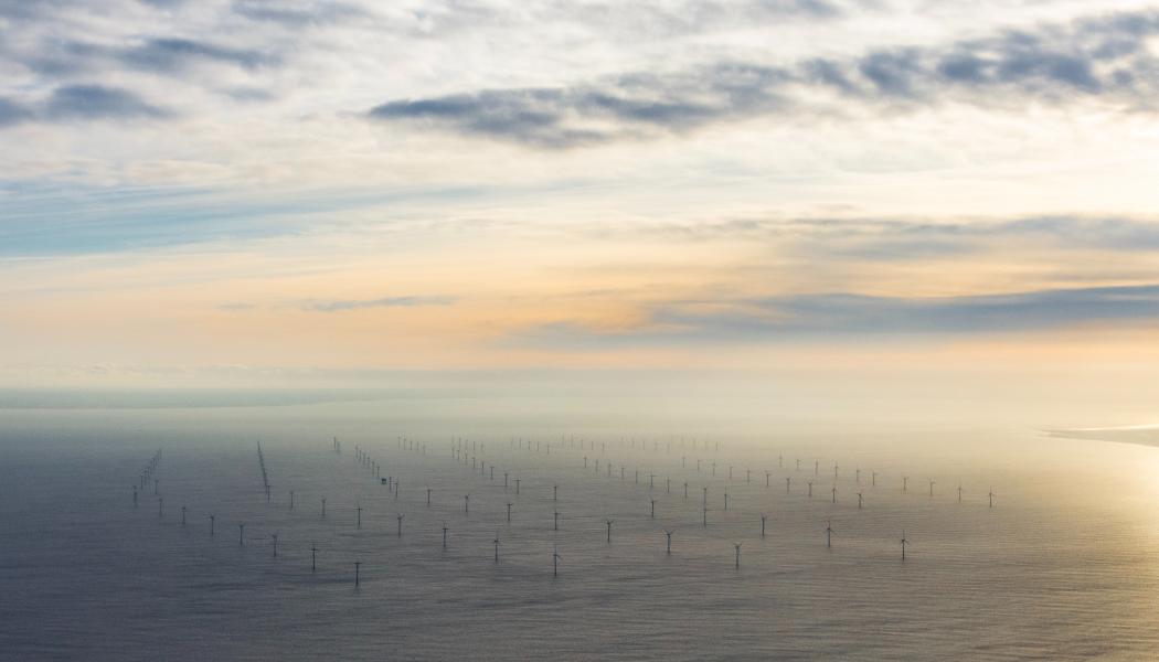 Foto: Nicholas Doherty/Unsplash