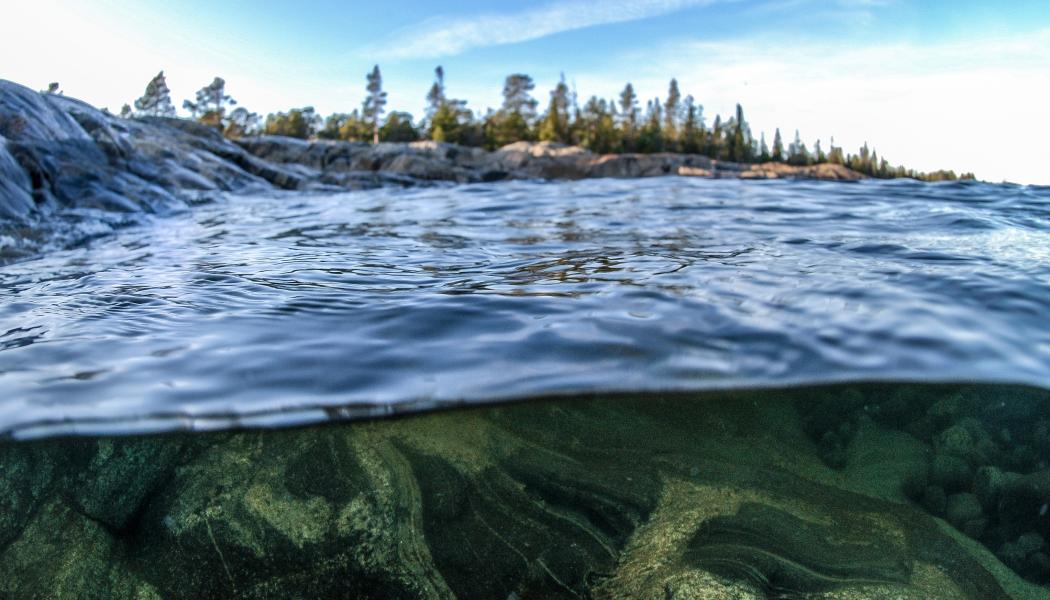 Foto: Niklas Jonasson/Unsplash