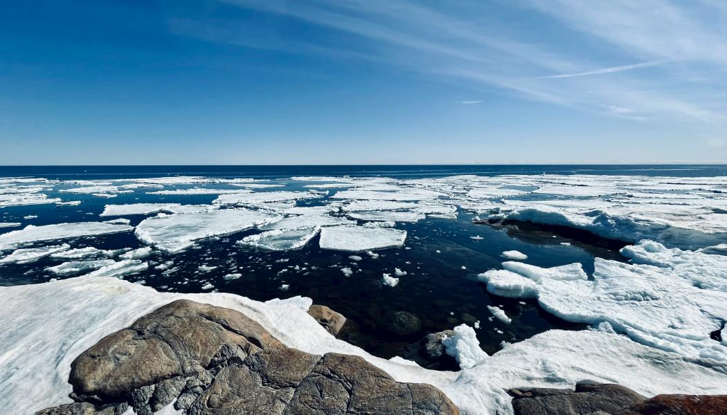 Foto: Niklas Jonasson/Unsplash