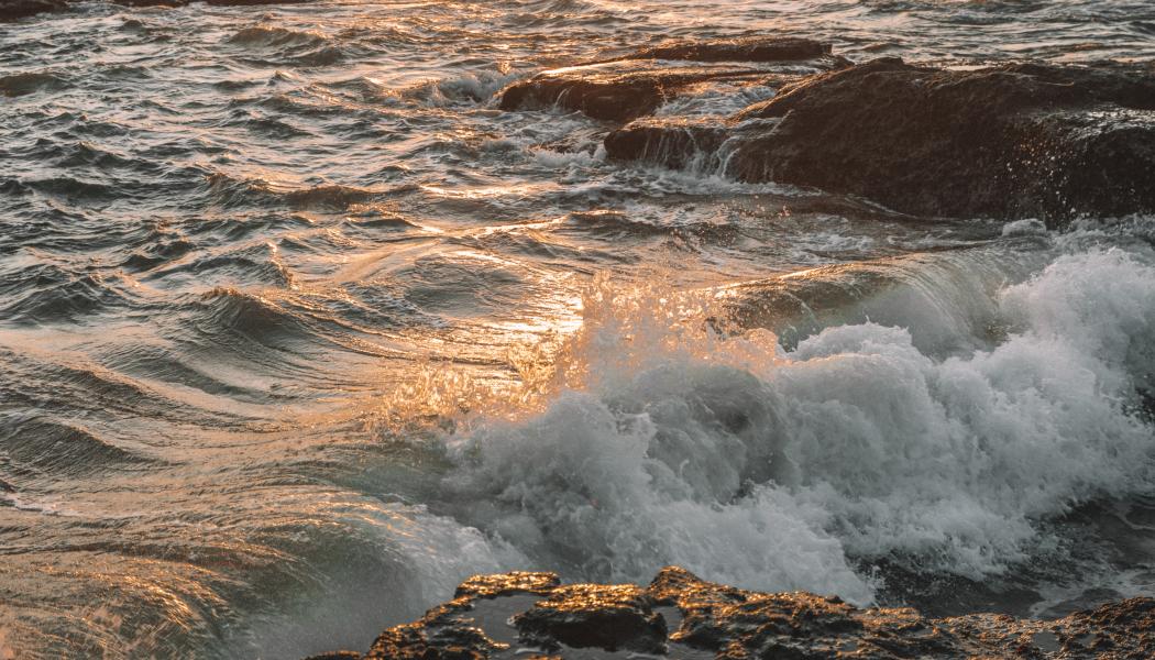 Foto: Polina Kuzovkova/Unsplash