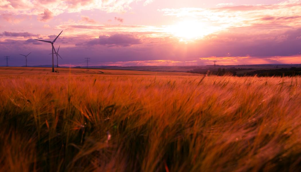Foto: Robert Wiedemann / Unsplash