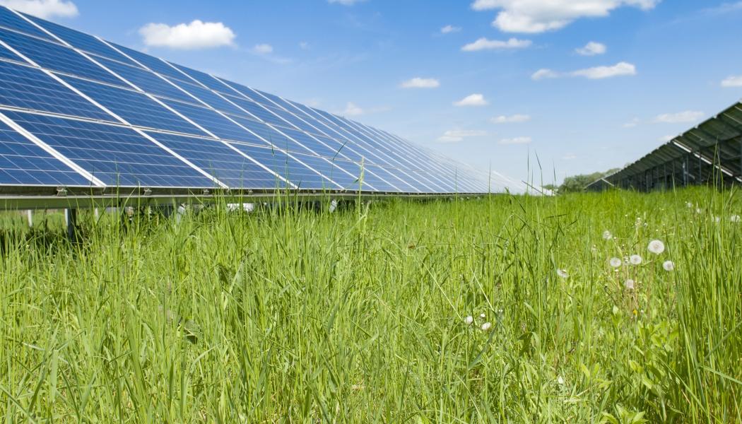 Downing etablerar verksamhet i Sverige med fokus på energiomställning