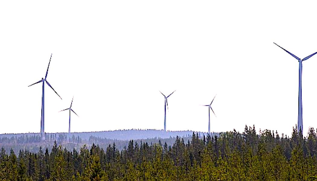 Persson Invest går in som delägare i Hocksjöns vindkraftsprojekt, som idag ägs av energibolaget Jämtkraft. Persson Invest blir 25-procentig delägare. Foto: Persson Invest