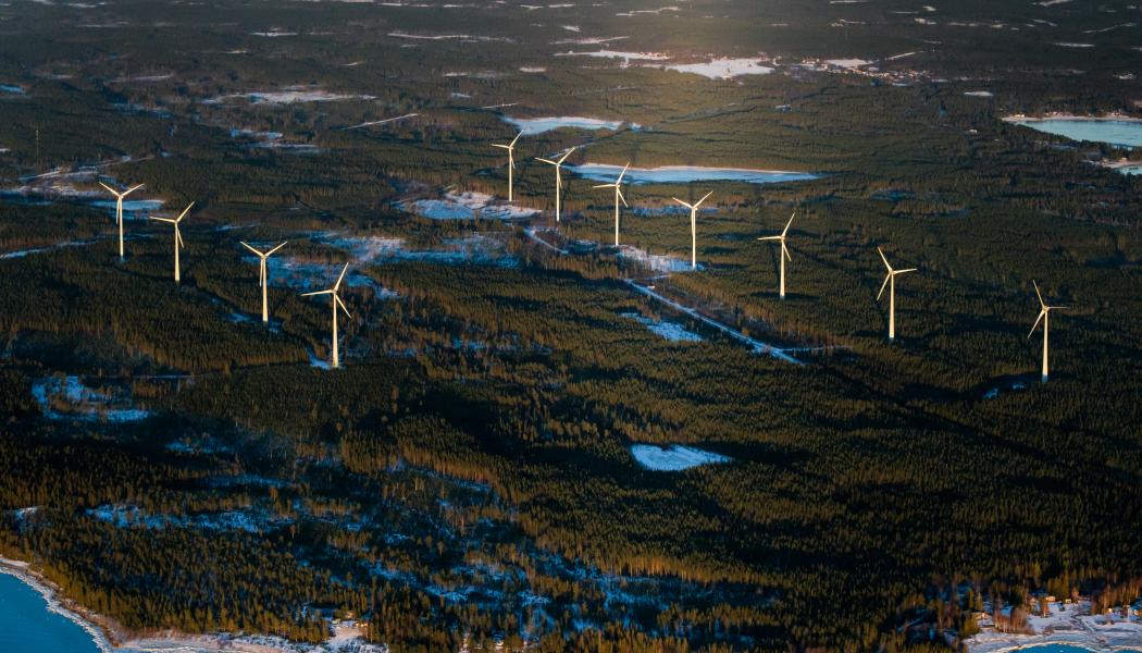 Vindkraft från Hörnefors utanför Umeå. Foto: Klas Sjöberg