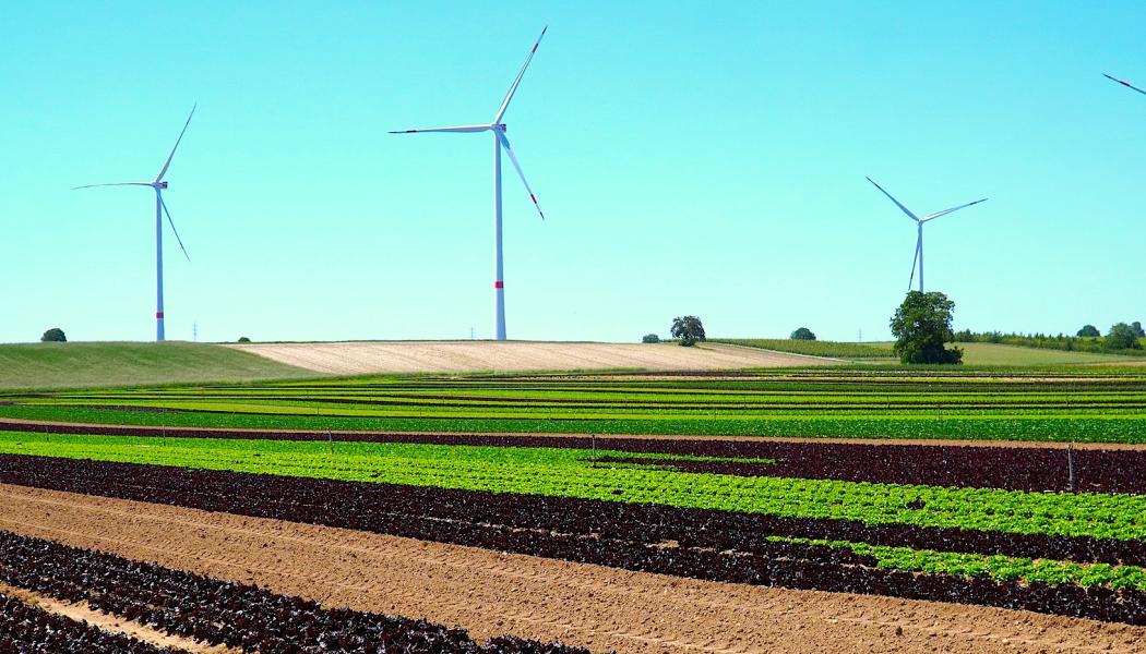 Vind 2023 inträffar 17-18 oktober. Foto: Matthias Boeckel (Pixabay)