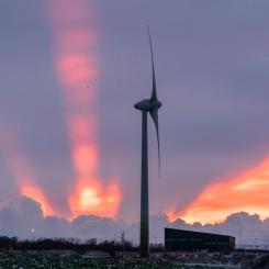Johan Nilsson/TT: Ett vindkraftverk utanför Ystad i solnedgång. Arkivbild.
