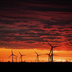 Christian Charisius/AP/TT: Vattenfall ska bygga en vindkraftspark i Småland. Arkivbild.