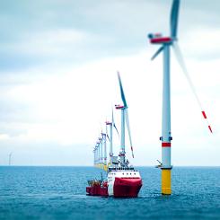 Muir Mhor är en flytande vindkraftpark utanför Skottlands östkust. Foto: Continuum Industries