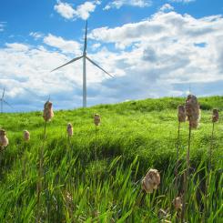 Foto:  Andre Boysen / Unsplash