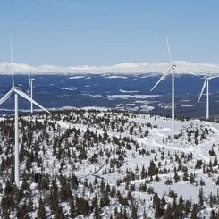 Foto: Connected Wind Services Group
