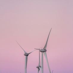Foto: Bruno Vieira / Unsplash