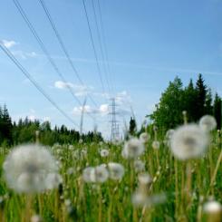 Jätteinvesteringen, på initialt en halv miljard kronor, ska på sikt ansluta 700 megawatt förnybar vindkraft till elområde 4. Foto: E.ON