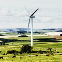 Vindkraftverket i Howpark, som för närvarande består av åtta vindturbiner av modellen Vestas V80 med en kapacitet på 16 megawatt (MW), blev nyligen operationellt. Foto: Eurowind