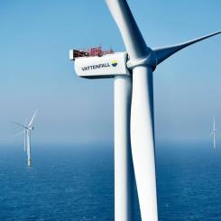 Vattenfalls vindkraftverk vid Horns Rev. Foto: Vattenfall