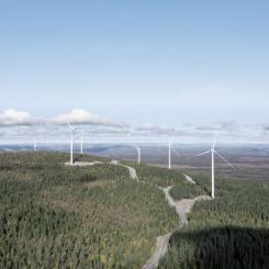 Blakliden Fäbodberget - Vattenfalls största landbaserade vindkraftspark hittills med sina 84 vindkraftverk. Foto: Vattenfall