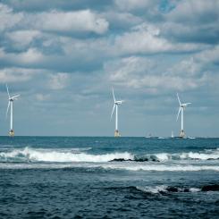Foto: insung yoon/Unsplash