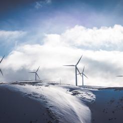 Foto: Jason Blackeye/Unsplash