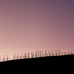 Foto:  Kai Gradert / Unsplash
