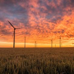 Foto: Karsten Würth / Unsplash