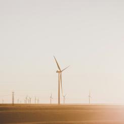 Foto: Katie Moum / Unsplash