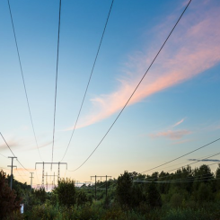 Svenska kraftnät står inför sin största investering i elnätet någonsin. Foto: Svenska kraftnät