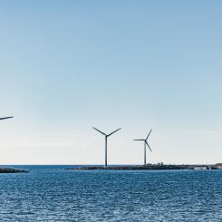 Foto: Mary Ray/Unsplash