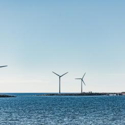 Foto: Mary Ray / Unsplash