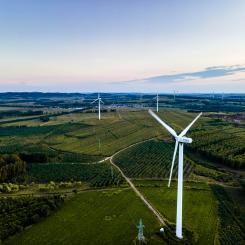 Vindkraftverk. Foto: Michael Myers / Unsplash