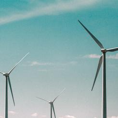 Foto: Mike Setchell/Unsplash