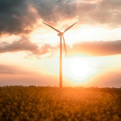 Foto:  Moritz Lange / Unsplash