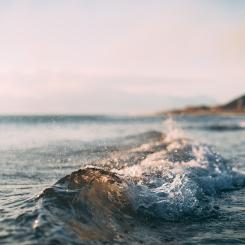 Foto: Mourad Saadi/Unsplash
