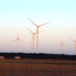 Vindkraften har pressat elpriserna i Finland, men flera projekt visar nu stora förluster. Arkivbild från Kalajoki. Foto: Wikipedia Commons LIc. Kredit: Istas~fiwiki