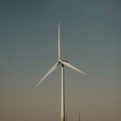 Foto: Nagy Arnold / Unsplash