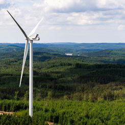 Örken vindkraftpark i Halland. Pressbild: Carlsberg Sverige