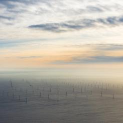 Foto: Nicholas Doherty/Unsplash