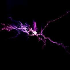Foto: Nikhita Singhal/Unsplash