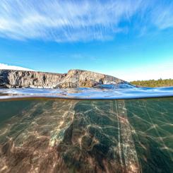 Foto: Niklas Jonasson/Unsplash