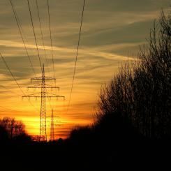 Foto: Oliver B / Unsplash