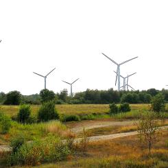 Pakri vindenergipark på 18,4 megawatt i Estland. Foto: Wikipedia Common, kredit: Hannu