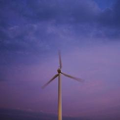 Foto: Ph B / Unsplash