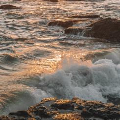 Foto: Polina Kuzovkova/Unsplash