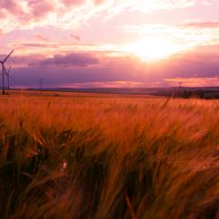 Foto: Robert Wiedemann / Unsplash