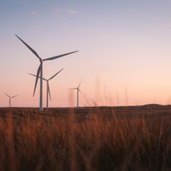Foto: Sam Cumming/Unsplash