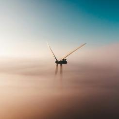 Foto: Sander Weeteling / Unsplash