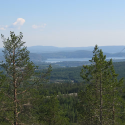 Foto: Svevia