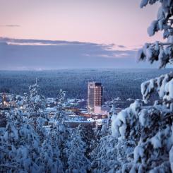 Pressbild: Skellefteå kommun